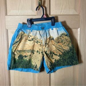 Chubbies Mt Rushmore Scenic Print Men's Shorts